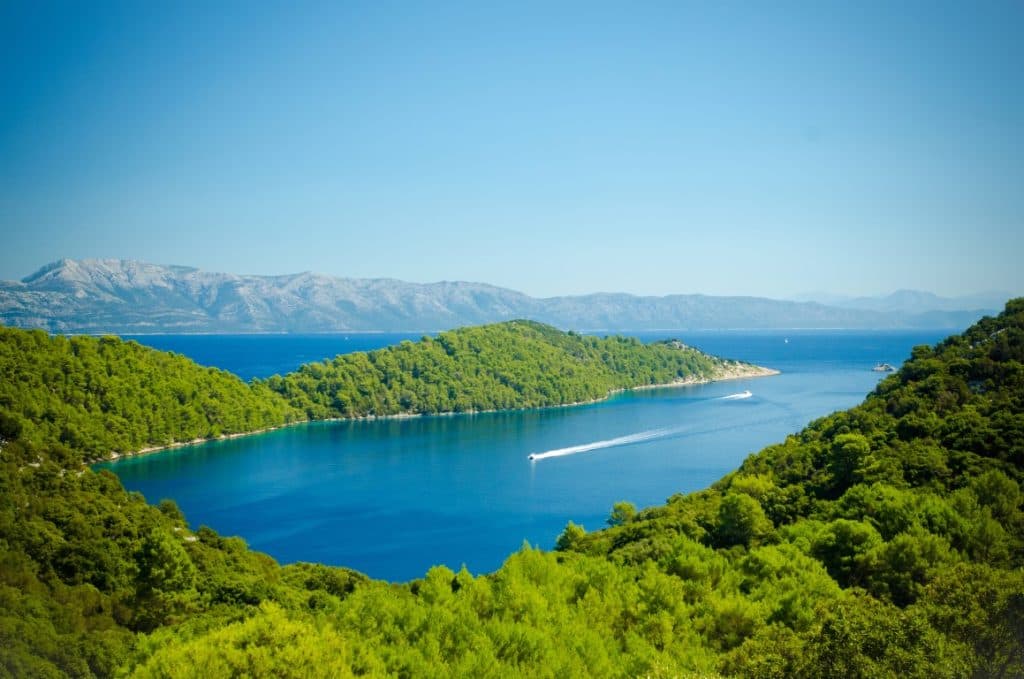 Mljet